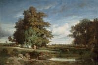 The Marsh