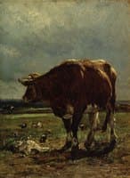 Bull and Chickens
