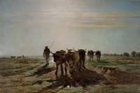 Cattle Ploughing in the Early Morning