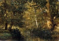 A Stream in the Undergrowth