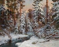 Winter Forest
