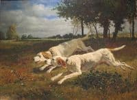 Dogs in the Chase