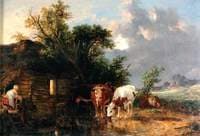Cows Drinking