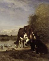Cows at a Watering Place