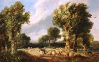 A Flock of Sheep