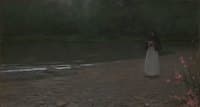The Novice