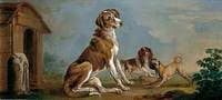 A Hound, a Spaniel and a Pug