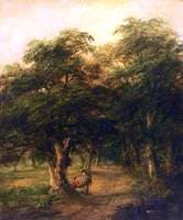 A Wooded Glade