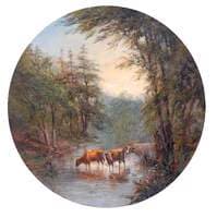 Cattle on Road