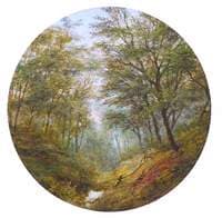 Woodland Scene