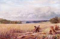 A Warwickshire Scene