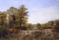 The Pheasant's Home