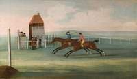 Marquess of Rockingham's 'Remus', and Lord Gower's 'Tom Jones'