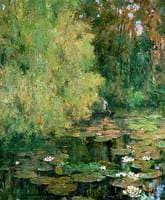 The Lily Pool