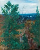 Forest Landscape