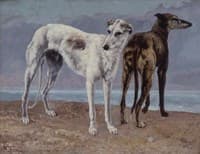 The Greyhounds of the Comte de Choiseul