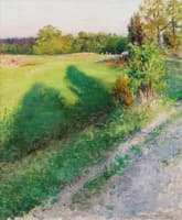 Summer Landscape