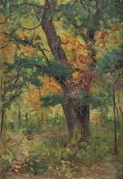 The Forest