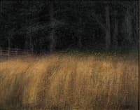 The Meadow