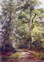 In the Garden of the Grove, Boxhill