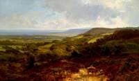 The Weald of Surrey