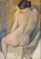 The Model