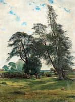 Summer Pasture
