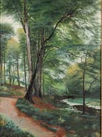 Beech Forest with a Brook
