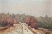 Forest Path