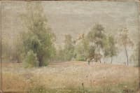 Summer Meadow