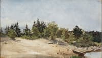 Dunes