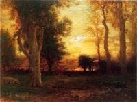 Evening in the Forest
