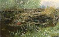 The Haunt of the Moorhen