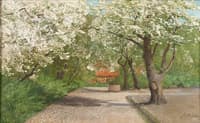 Orchard in Blossom