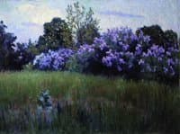 Lilacs in Bloom