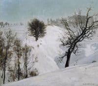 Snowy Fields (Wechselburg an der Mulde)