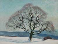 Tree in Winter