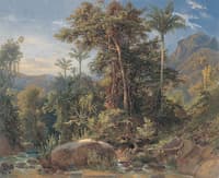 Tropical Landscape