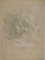 Profile Head of a Young Man