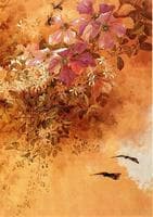 Flowers and Insects