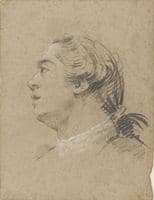 Portrait of a Young Man