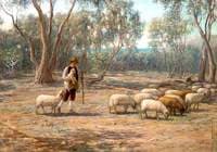 Shepherd and Sheep