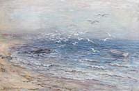 The Flight of the Seagulls