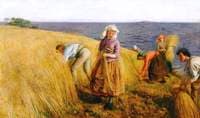 The Hairst Rig in the East Neuk, Fife