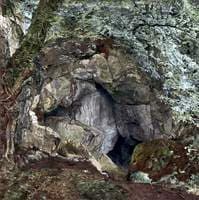 The Dragon's Den