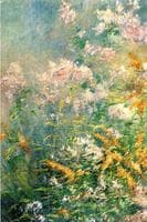 Meadow Flowers