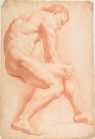 Life Drawing