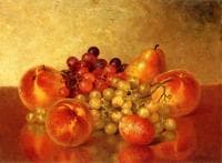 Still Life with Fruit