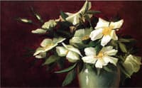 White Roses