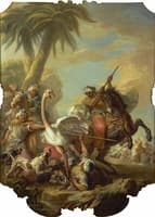 Foreign Hunts - The Ostrich Hunt